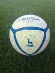 Size 5 Football (2024/25 Design)