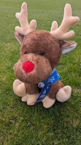HUFC Reindeers