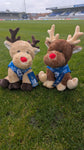 HUFC Reindeers
