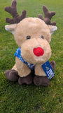 HUFC Reindeers